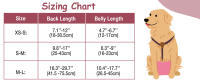 Sizing Chart