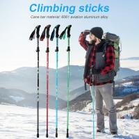 Bastones de Trekking al aire libre de 5 secciones, bastones de escalada al aire libre de aleación de aluminio, suministros de Montañismo plegables y ligeros ajustables - details 2