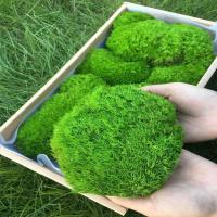 Musgo eterno, manualidades DIY, hierba, 20/40/100g, plantas verdes artificiales, decoración del hogar, habitación, jardín, mini país, hierba falsa - details 4