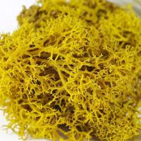 Musgo eterno, manualidades DIY, hierba, 20/40/100g, plantas verdes artificiales, decoración del hogar, habitación, jardín, mini país, hierba falsa - details 5
