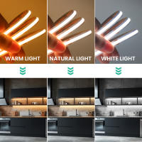 GAHADA Tira LED de Alta Densidad Suministro de Potencia Regulable con Bluetooth 576LEDs/m - details 3