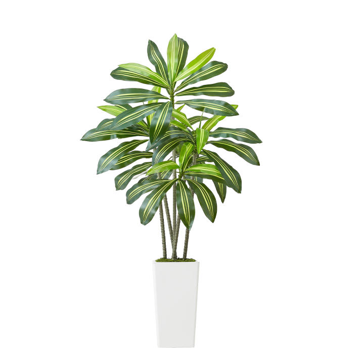 Árbol de Dracaena Artificial SucceBuy de 1524 mm, Planta Tropical Artificial con Maceta Alta Blanca, Planta Decorativa de Seda en Maceta, Árbol Grande para Interiores y Exteriores para Decoración del Hogar, Oficina y Sala de Estar