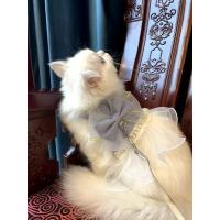 Arnés de nailon con lazo para gato, vestido de princesa para cachorros, Chihuahua, ropa de peluche - details 1