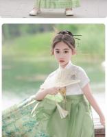 Conjunto de cara de caballo para niña, Hanfu de alta gama para niños, estilo chino, falda de disfraz de la dinastía Ming para niña pequeña para primavera - details 1