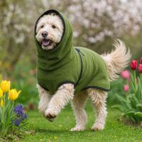 Disfraces para Perros, Chaqueta Calmante de Terciopelo para Perros, Sudadera con Capucha para Mascotas de Color Sólido, Gruesa, Resistente al Viento, Ropa de Dormir Cálida para Mascotas, Invierno y Otoño - details 9