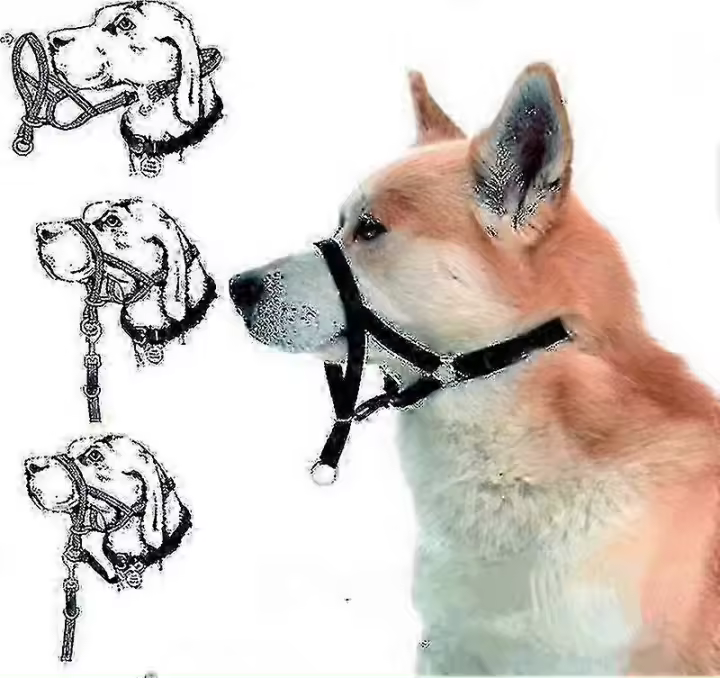 Collar de cabeza Halti para entrenamiento de perros, obediencia para dejar de tirar en plomo, solución sin tirar - 1