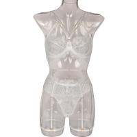 Lencería erótica, ropa interior sexy de encaje hueco, conjuntos exóticos transparentes, conjunto sensual de sujetador y bragas con aros con ligas - details 11