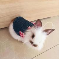 Disfraz de Conejo de Denim Correa con Hebilla para Mascotas Pequeñas Accesorios para Mascotas de Guinea Pig - details 11