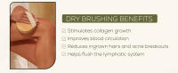 csm dry body brush boar bristle rejuvenating reduces cellulites