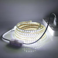 Tira de luces LED de 220V con enchufe europeo, lámpara de Exterior resistente al agua IP67, cinta azul, blanca y cálida, decoración, SMD 3014, 120Led/m - details 12