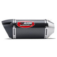 Tubo de escape de fibra de carbono AHM para Z250/Benelli - details 1