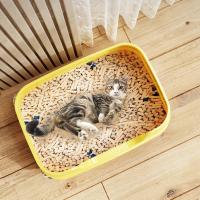 Caja de Arena para Gatos Grande Cama de Literia Antideslizante con Mango Ideal para Razas Grandes - details 8