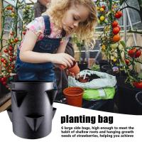 Cultivo de bolsas no tejidas de fresa de 6 lados, ETA para cultivo de plantas en jardín - details 2