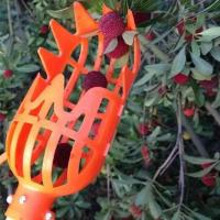 Cosechador de Frutas de Altura Herramienta de Jardín de Plástico para Melocotón, Ciruela, Jujube - details 0