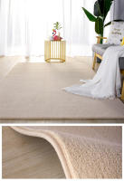 Alfombra de Terciopelo de Coral Gris Gruesa, Antideslizante, Ideal para Sofá de Estar, Dormitorio, Balcón - details 15