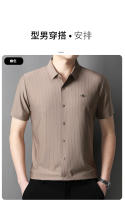 25 Nuevo verano Anti arrugas Casual Polo Business Camisa de manga corta a rayas verticales para hombres - details 8