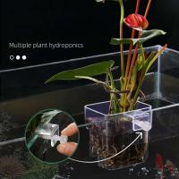 Copa de Hierba Acuaria Cesta de Plantas Hidroponicas Multiple para Tanque de Peces - details 1
