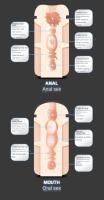 Dooll-Vagina de silicona realista para hombres, Juguetes sexuales de imitación para masturbación masculina, juguete de succión, copa de avión - details 18