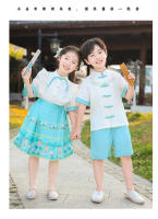 Vestido de Recitación de Poesía de Verano Hanfu para Niños Traje Antiguo Chino con Falda de Cara de Caballo Conjunto de Ropa y Zapatos - details 15