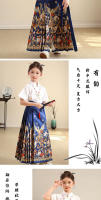 Conjunto de falda con cara de caballo para niños Hanfu, mejora del sistema Ming para niñas de estilo chino, primavera diaria para padres e hijos en las cuatro estaciones y - details 16