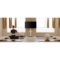 soporte tv ruedas