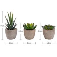 PLANTA
