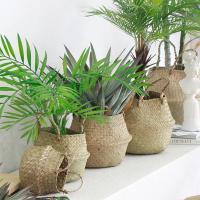 Cestas de almacenamiento Naturales de algas marinas, maceta de flores de estilo nórdico, cesta de plantas, bolsa de cultivo tejida de paja, maceta colgante, decoración del hogar - details 4