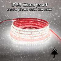Tira de luces LED de alta seguridad, cinta impermeable IP68 de 2835 Leds/M, 24V, 120 luces, para exteriores, jardín, 20 m/rollo - details 1