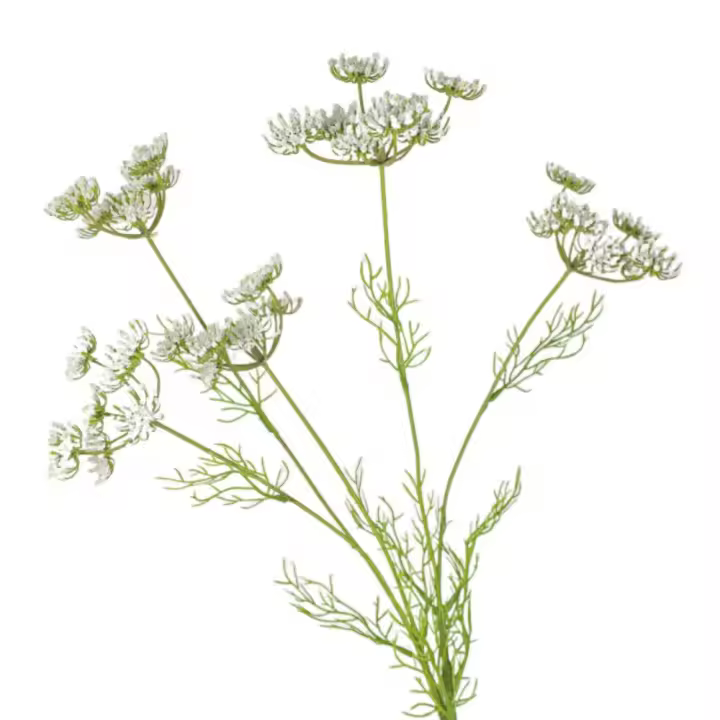 Rama de flores artificiales de encaje de 5 cabezas, elegantes y hermosas flores falsas de seda, plantas verdes simuladas de plástico, decoración para el hogar y la Oficina - 1