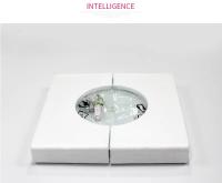 AYEVIN-báscula de grasa corporal con Bluetooth, balanza electrónica inteligente, Led, Digital, para baño, Analizador de composición corporal - details 9