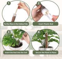 Palo de crecimiento para escalada en jardín, pequeño poste de musgo de plástico, utilizado para pila de soporte de plantas Monstera - details 4
