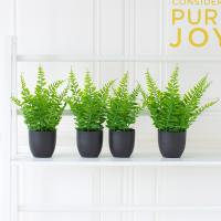 Planta falsa pequeña realista con maceta negra, eucalipto, lavanda, bonsái verde en maceta, plantas artificiales para el hogar y la Oficina, 2 uds. - details 2