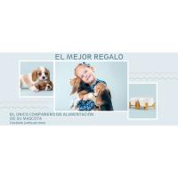 Cuenco Inclinable de Cerámica para Perros Comedero Doble para Perros con Soporte de Bambú