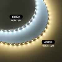 Cinta de Luz LED 24V XUNATA 5m 10m Luces Led Rope SMD2835 240Leds/m 10mm PCB Ancho Flexible Diodo para Decoración de Habitación Iluminación Moderna - details 4