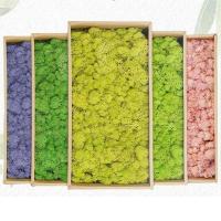 Musgo eterno, manualidades DIY, hierba, 20/40/100g, plantas verdes artificiales, decoración del hogar, habitación, jardín, mini país, hierba falsa - details 9