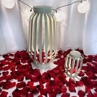 Pétalos de Rosa Artificiales 6000/100Pcs Rojo, Blanco, Oro Ideal para Bodas Románticas y Fiestas - details 3