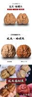 Una generación de árboles viejos, cabeza de sapo Yanqing, juguetes culturales, nueces, sapos dorados, leones con cabezas obstruidas y puntiagudas, piernas, - details 0