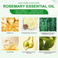Aceite esencial de romero hidratante y nutritivo para cabello dañado - details 2