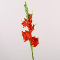 Ramas de gladiolo artificiales de PU, arte Floral, simulación de tacto Real, flor de gladiolo, flores falsas hechas a mano, decoración para el hogar y la Oficina - details 6