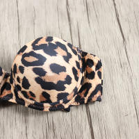 Bañador brasileño Sexy para mujer, conjunto de Bikini con sujetador de realce, traje de baño de dos piezas, ropa de playa de cintura baja, bañador de leopardo - details 55