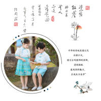 Vestido de Recitación de Poesía de Verano Hanfu para Niños Traje Antiguo Chino con Falda de Cara de Caballo Conjunto de Ropa y Zapatos - details 2