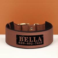 Collar ancho personalizado perros, collares acolchados nailon identificación mascotas, collar nombre de con estampado gratuito - details 12
