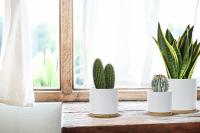 Juego de maceta de cerámica para interior, maceta blanca, contenedor de maceta de cerámica para exteriores, tamaño mediano con platillo (blanco) - details 1