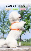 Arnés para mascotas con diseño de zanahoria, correa para el pecho, para perros pequeños y medianos - details 4