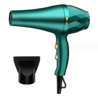Secador De Pelo Profesional Rápido Con Ajuste Caliente Frío Herramientas De Peluquería Para Salón De Belleza Con Boquilla Incluida - details 6
