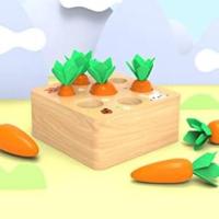 carrot toy