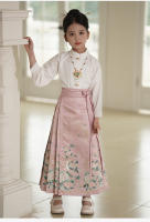 Falda Ma Mian Hanfu conjunto mejorado estilo chino antigua dinastía Ming disfraz Tang verano para niños - details 14