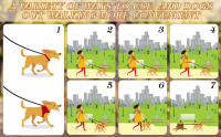 Correas de Perros, 3m Correa para Perro Ajustable en 5 Longitudes Correa Perro con Banda Reflectante, Correa de Adiestramiento p - details 2