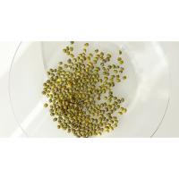 Mung Bean Extract Ingredient