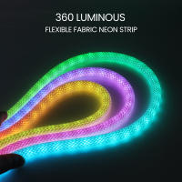 Luz de neón LED WS2812B RGB de 5V, cinta de píxeles flexible direccionable individualmente, Color de ensueño, tira de LED USB, lámpara de cuerda de silicona impermeable - details 11
